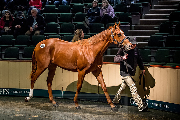 Goffs Orby 2018 Day 1-437