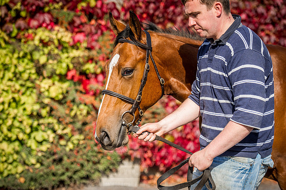 Goffs Orby 2015 -298