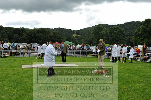 Rydal 2014 CF1 385