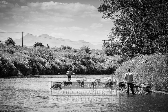 Desmond 040616-52 bw