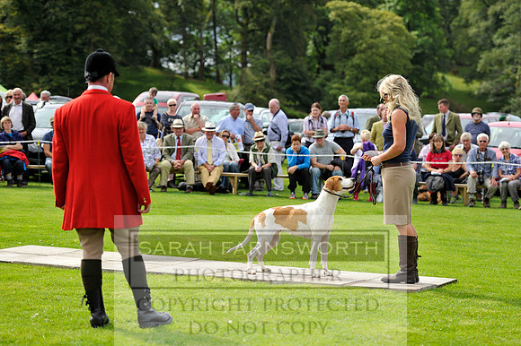 Rydal 2014 CF2 132