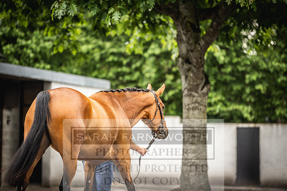 Goffs Land Rover Sale 2022-324