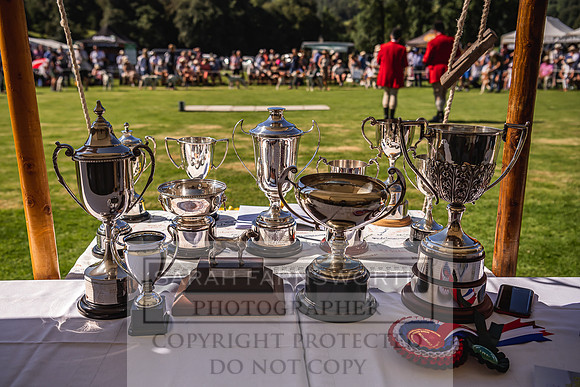 Rydal Hound Show 2022-7