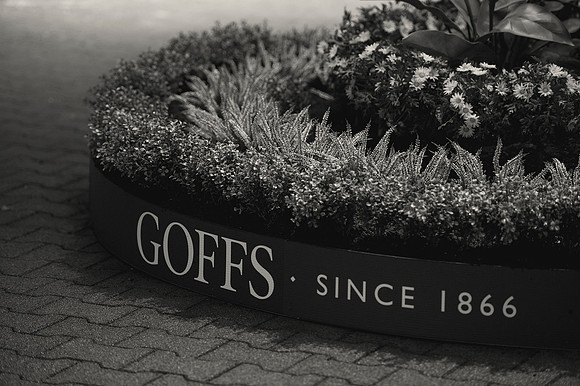 Goffs Orby14 CF5 069 bw