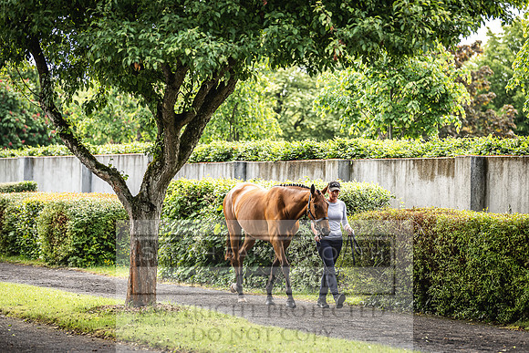 Goffs Land Rover Sale 2022-40