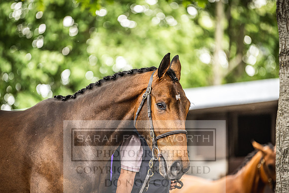 Goffs Land Rover Sale 2022-349