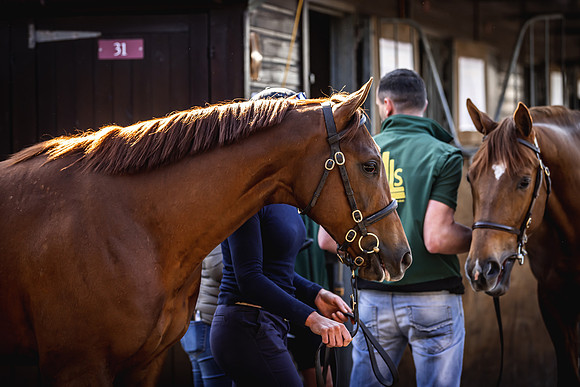 Goffs UK Breeze Up 2022-136