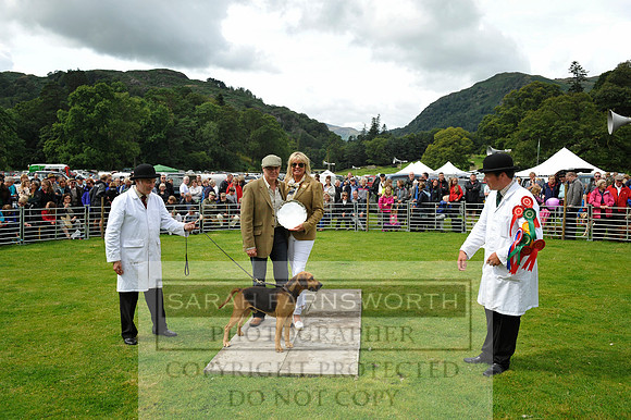 Rydal 2014 CF1 223