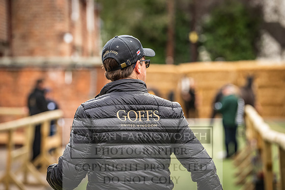 Goffs Yorton Sale 2022-4