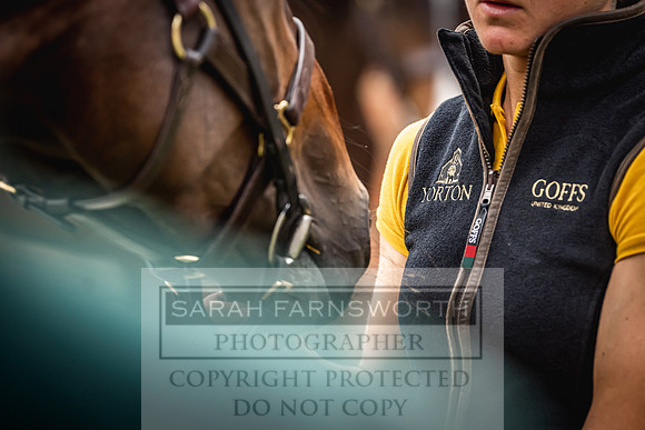 Goffs Yorton Sale 2022-40