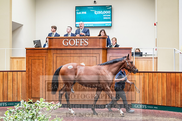 Goffs UK PY24-526