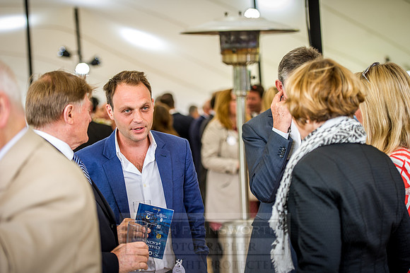 Goffs London Sale 2016-209
