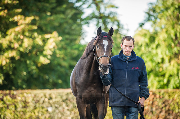 Goffs Orby 2015 -203
