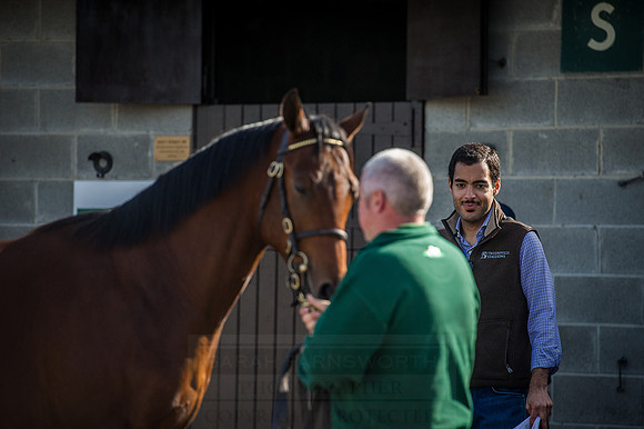 Goffs Orby 2015 -282