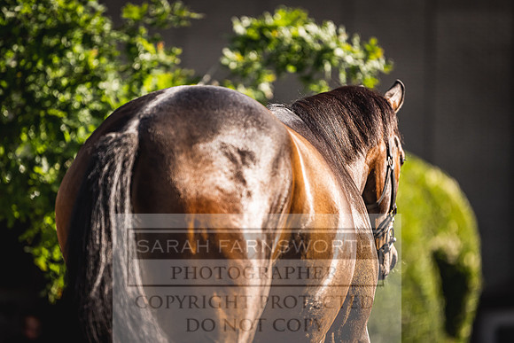 Goffs Land Rover Sale 2022-137