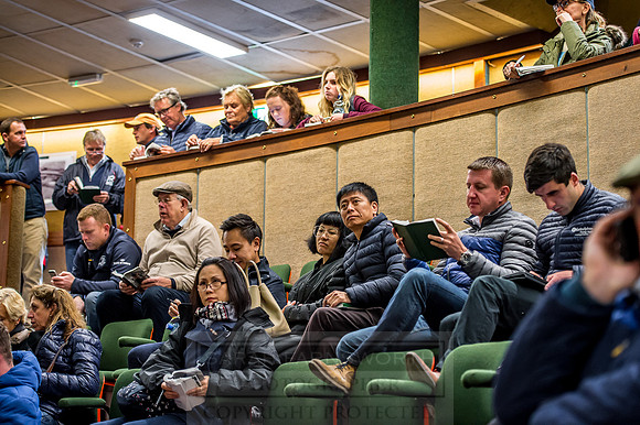 Goffs Orby 2018 Day 1-156