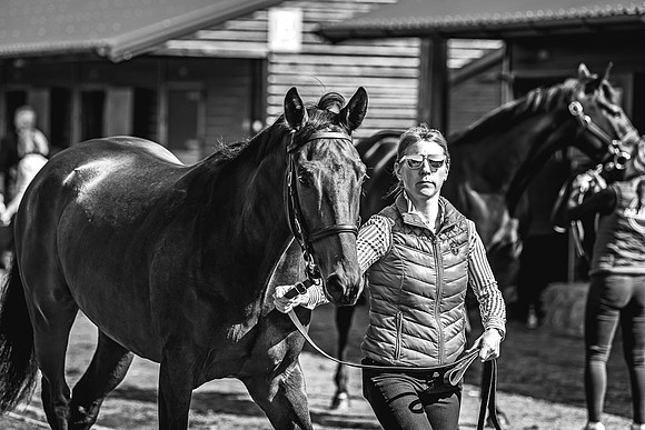 Goffs UK Spring Sale 22 Day 2-19