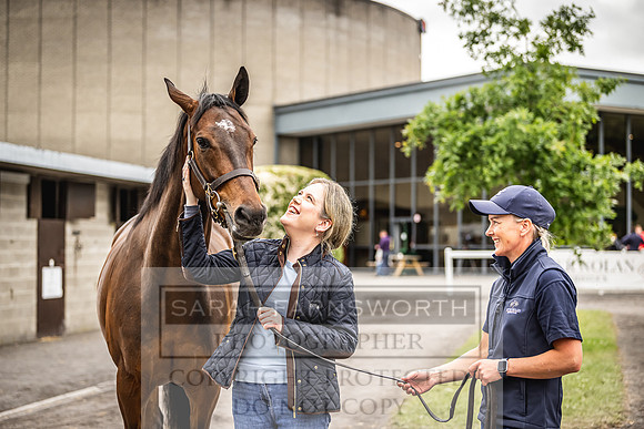 Goffs Land Rover Sale 2022-248