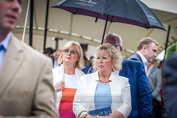 Goffs London Sale 2016-410