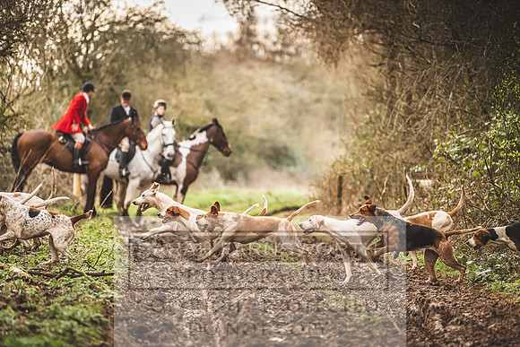 Thurlow at Heythrop 130319-643