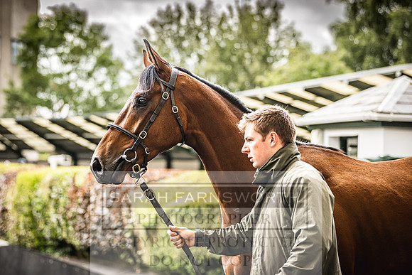 Goffs Land Rover Sale 2022-586