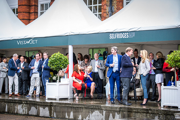 Goffs London Sale 2016-273