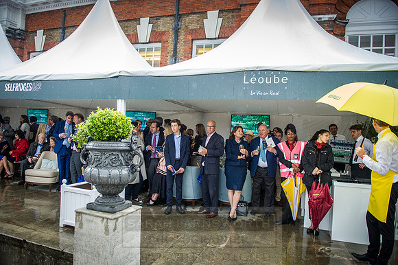 Goffs London Sale 2016-330