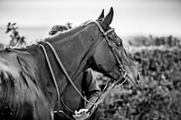 Colin Bowe-5