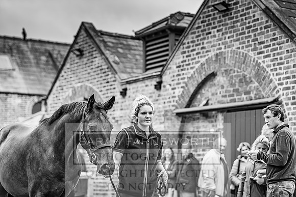 GUK Yorton Sale 2019-190