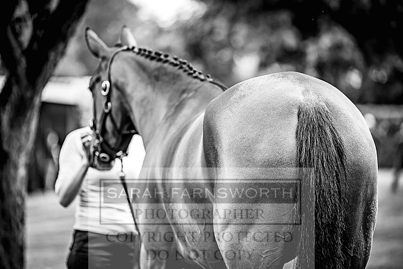 Goffs Land Rover Sale 2022-47
