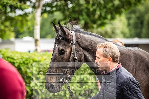 Goffs Land Rover Sale 2022-431