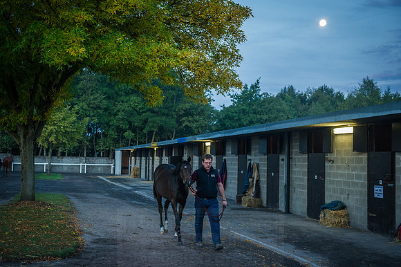 Goffs Orby 2015 -56