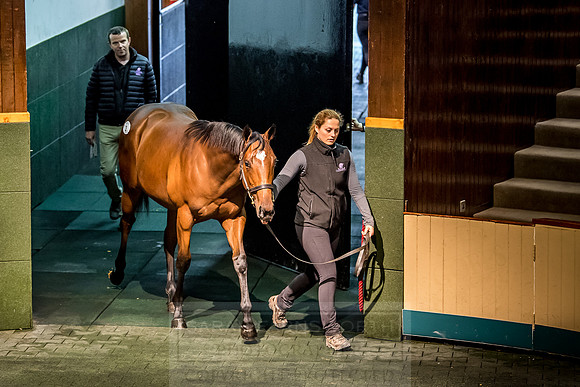 Goffs Orby 2018 Day 1-138