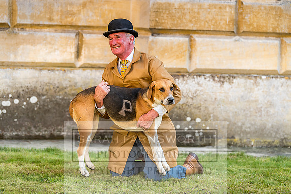 Baron Von Pfetten Puppy Show 02.09.18-87