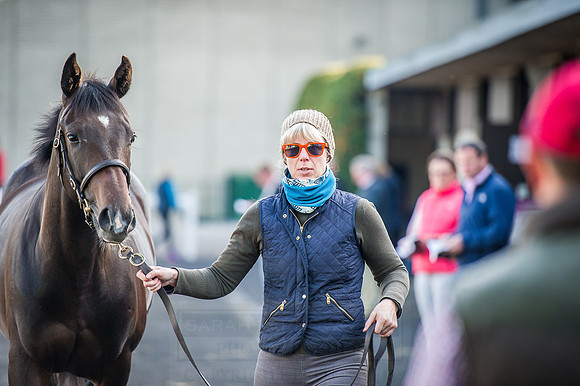 Goffs Orby 2015 -224