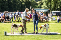 Rydal Hound Show 2022-19