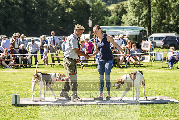 Rydal Hound Show 2022-19