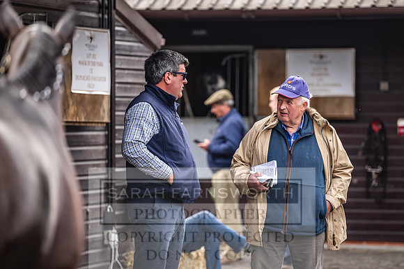Goffs UK Spring Sale 2024-60