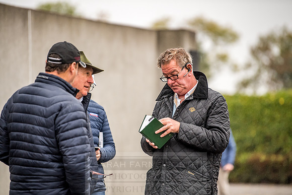 Goffs Orby 2018 Day 1-9