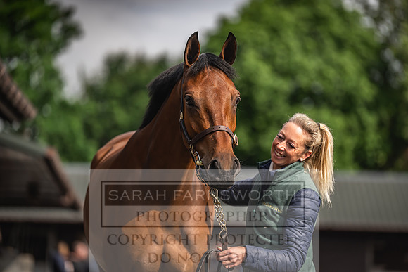 Goffs UK Spring Sale 2024-28