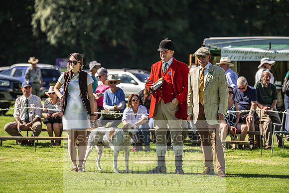 Rydal Hound Show 2022-10