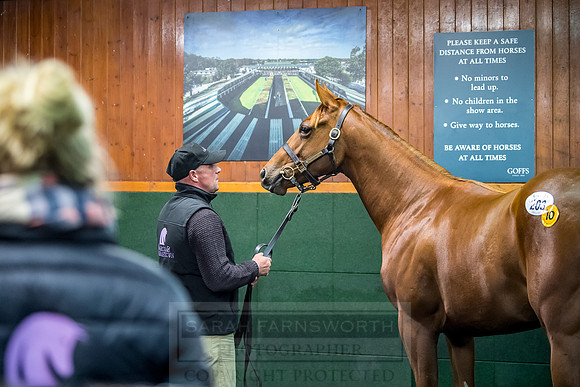 Goffs Orby 2018 Day 1-434