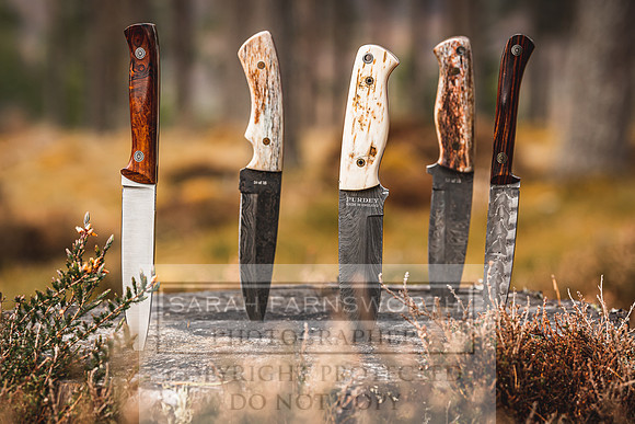 Purdey AW21-441