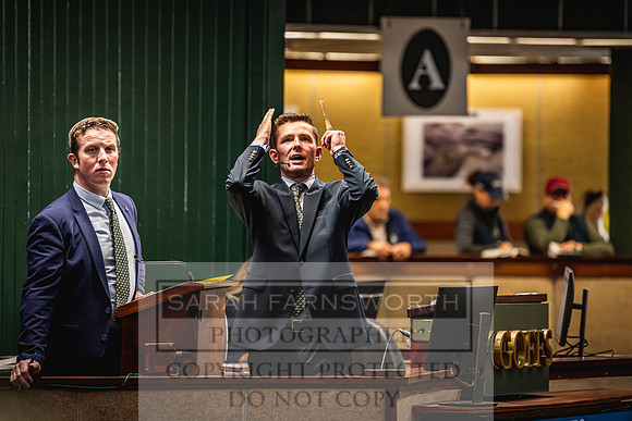 Goffs Land Rover Sale 2022-259