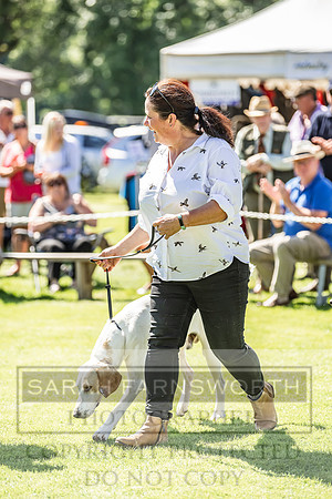 Rydal Hound Show 2022-126