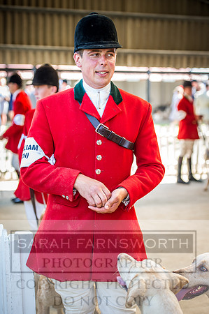 PFoH 2016-589