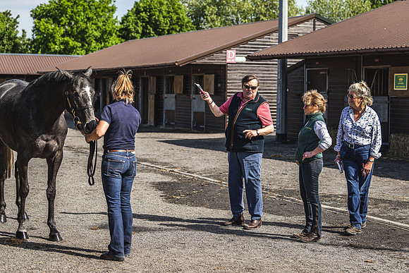 Goffs UK Spring Sale 22 Day 2-6