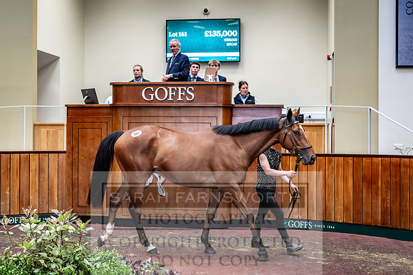 Goffs UK Spring Sale 2024-160
