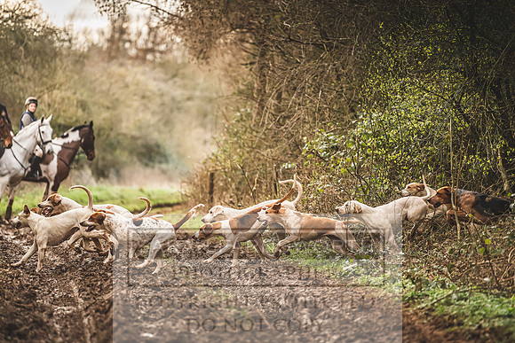 Thurlow at Heythrop 130319-640