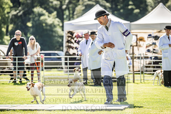 Rydal Hound Show 2022-150